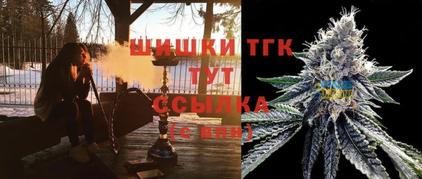 mix Бородино