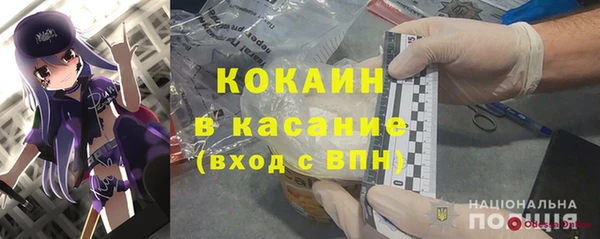 mix Бородино